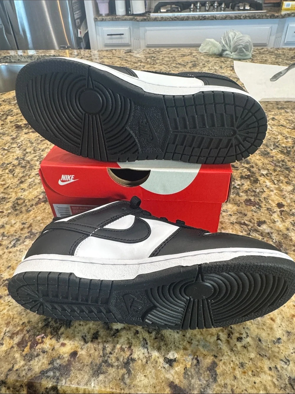 Kids black and white Nike dunks